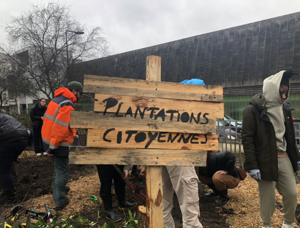 arbres plantations citoyennes dabilly tours