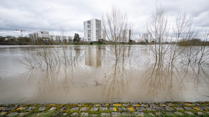 Cher En Crue PM1 8238 17022026 Pascal Montagne