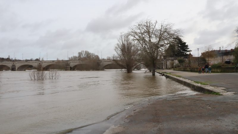 Loire Crue 02 26 (14)