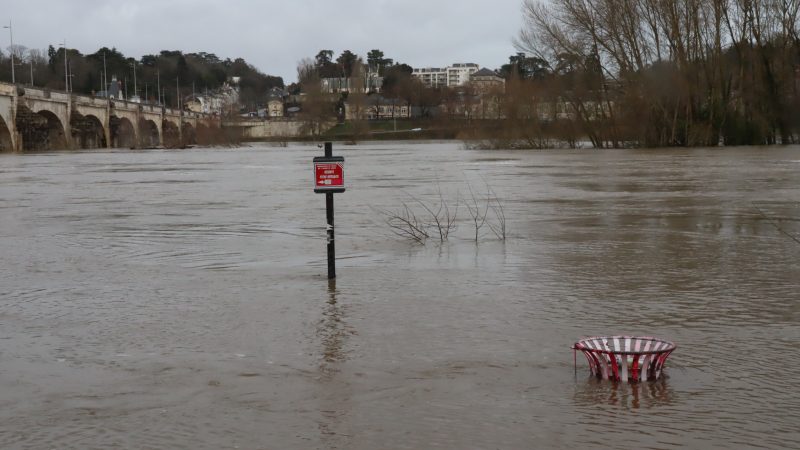 Loire Crue 02 26 (20)