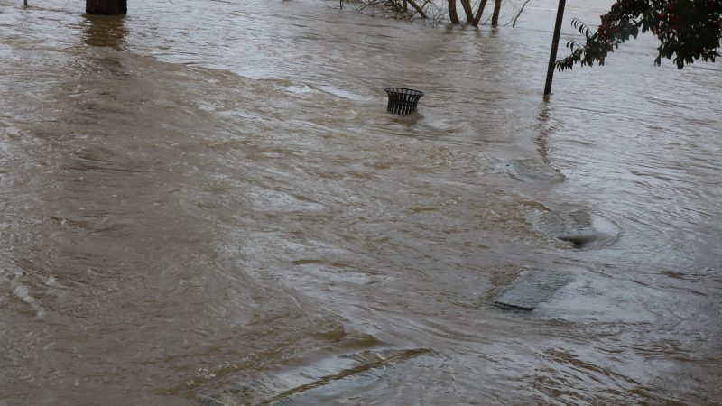 Loire Crue 02 26 (8)