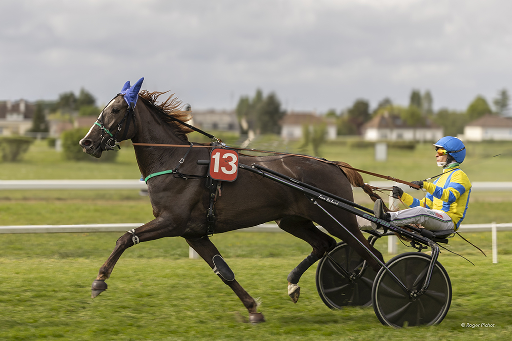 Info Tours | [Photos du jour] Près de 130 chevaux pour le 1er dimanche de courses de l’année à Chambray